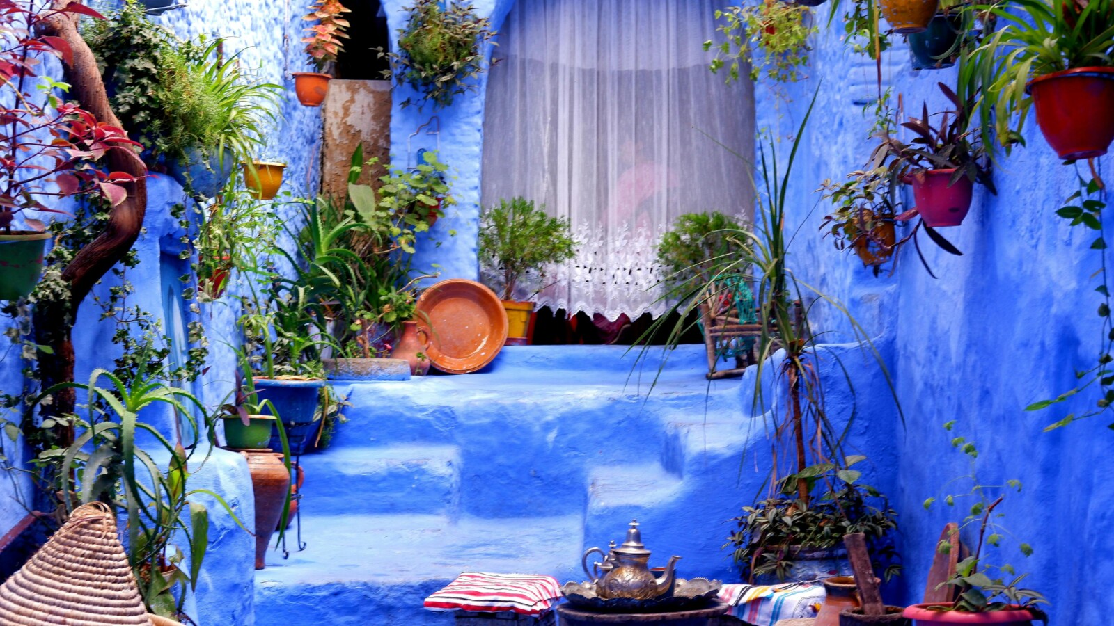 Vibrant blue courtyard in Chefchaouen filled with plants and traditional Moroccan decor.