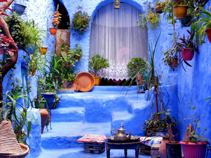 Vibrant blue courtyard in Chefchaouen filled with plants and traditional Moroccan decor.