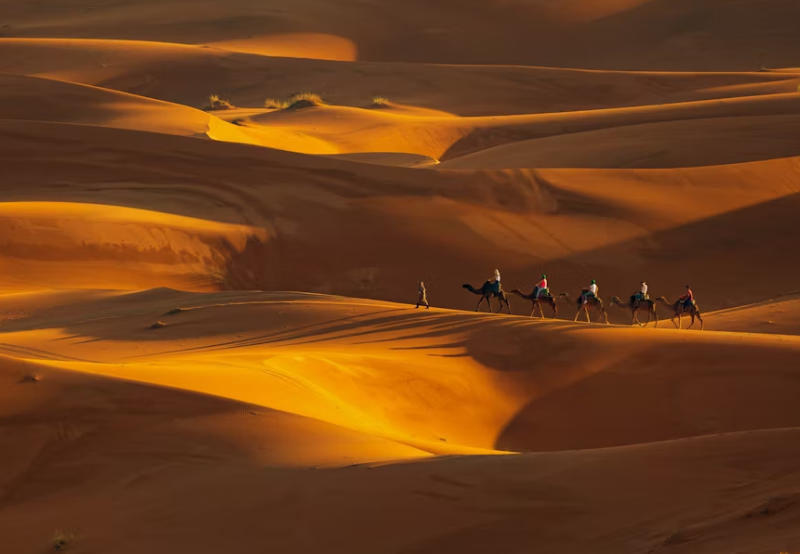 Camel caravan trekking Sahara Desert sand dunes Morocco sunset