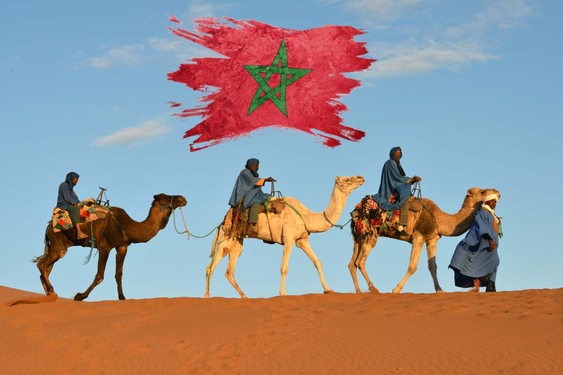 Moroccan camel caravan with national flag in Sahara desert