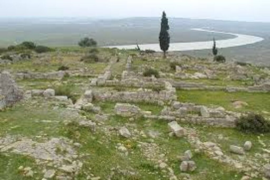 Lixus