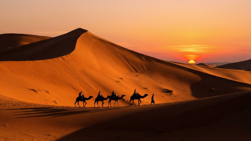 Camel caravan crossing the orange sand dunes of Erg Chebbi in Morocco at sunset
