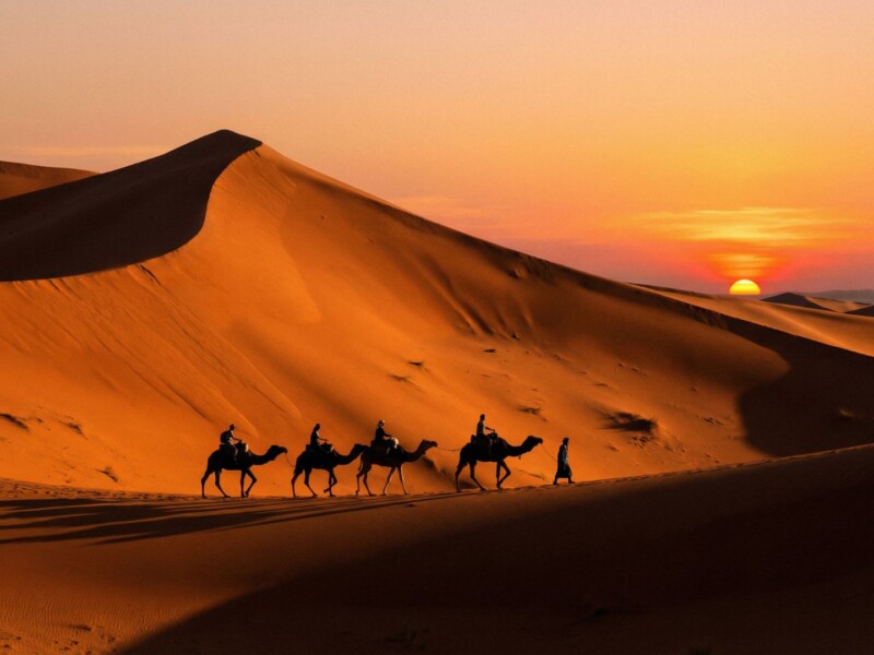 Camel caravan crossing the orange sand dunes of Erg Chebbi in Morocco at sunset