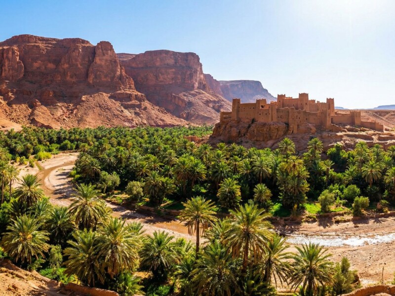 Date palm oasis and ancient kasbah in Morocco's Draa Valley with red cliffs in background