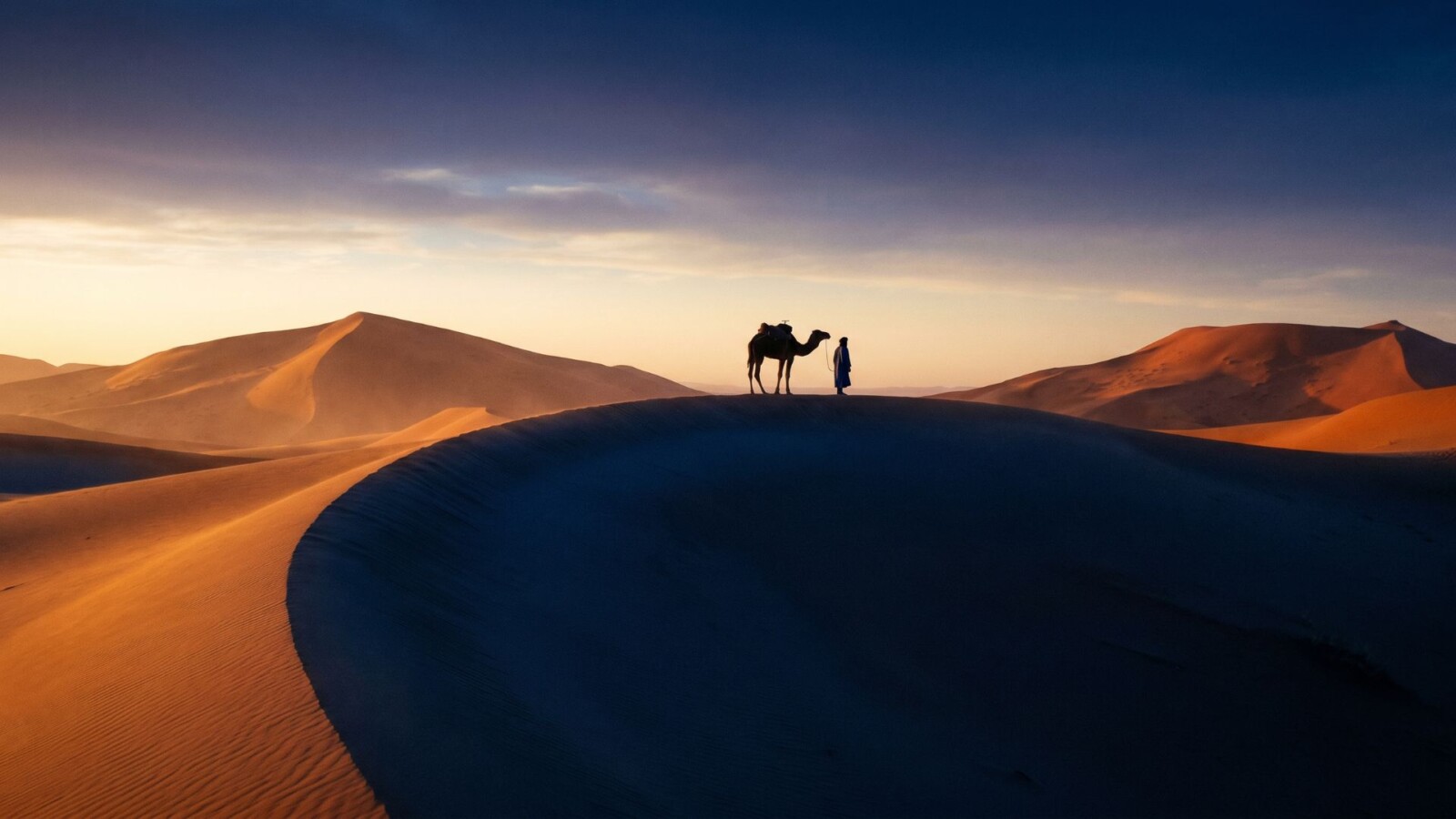 Sunrise over the Erg Chebbi sand dunes near Merzouga in southern Morocco, with a camel and Berber guide silhouetted against the amber horizon.
