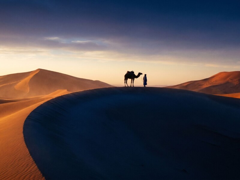 Sunrise over the Erg Chebbi sand dunes near Merzouga in southern Morocco, with a camel and Berber guide silhouetted against the amber horizon.