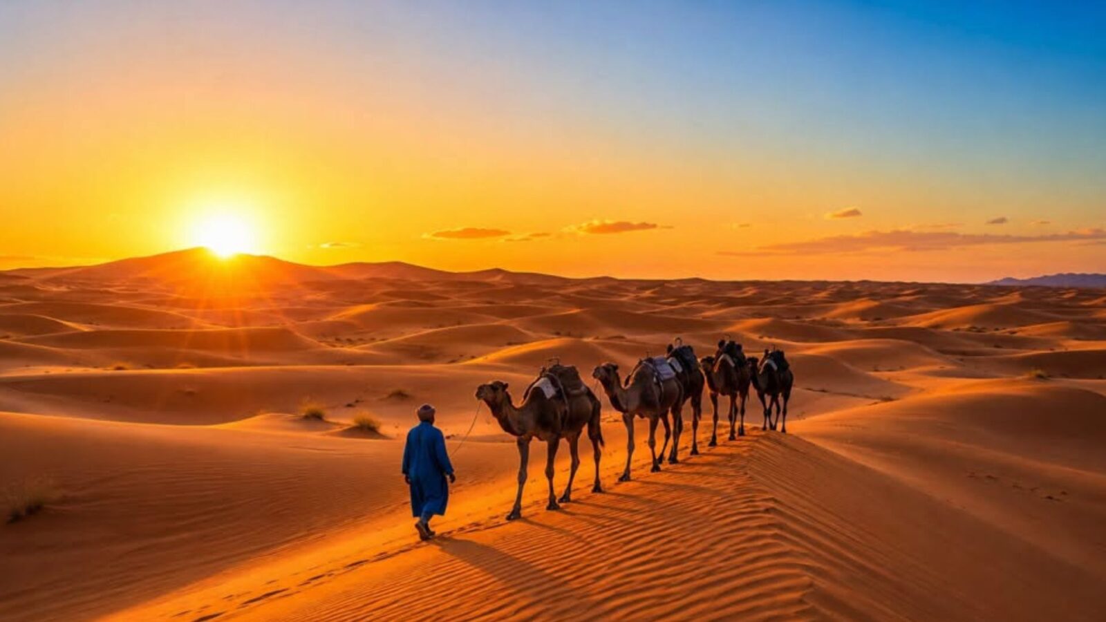 Camel caravan crossing golden Sahara Desert dunes at sunset in Morocco, led by a guide in a blue robe.