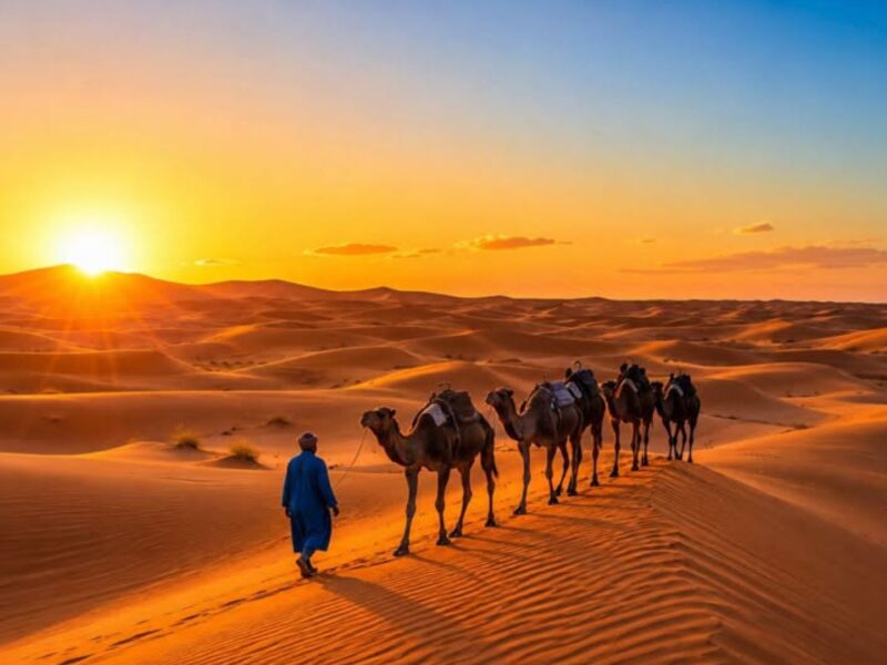 Camel caravan crossing golden Sahara Desert dunes at sunset in Morocco, led by a guide in a blue robe.