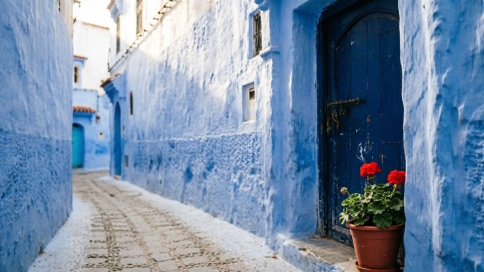 Empty blue-painted alleyway in the Chefchaouen medina at early morning, with a wooden indigo door and terracotta geranium pot in soft directional light.