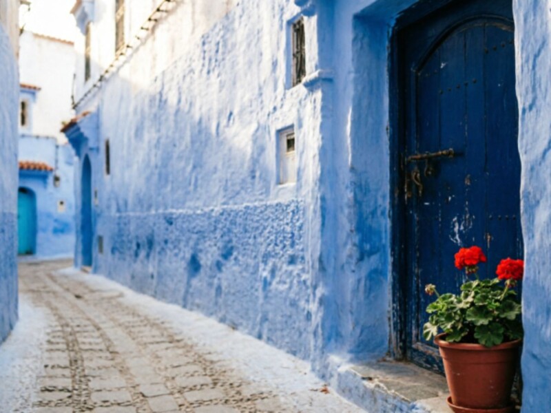 Empty blue-painted alleyway in the Chefchaouen medina at early morning, with a wooden indigo door and terracotta geranium pot in soft directional light.