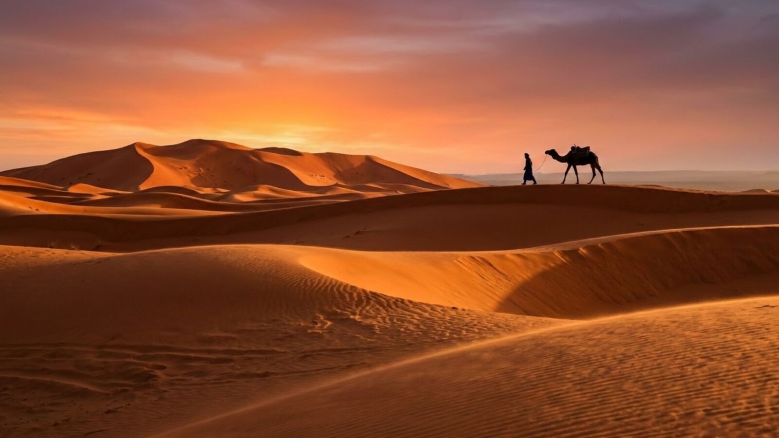 Solo traveler and camel silhouetted on the Erg Chebbi sand dunes at sunset during a Morocco itinerary through the Sahara.